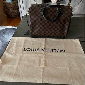 Big LV Dust Bag